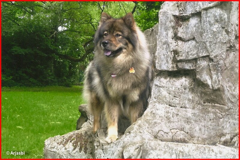 2 (18).jpg - Daschka