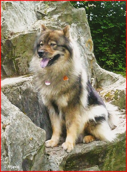 2 (19).jpg - Daschka