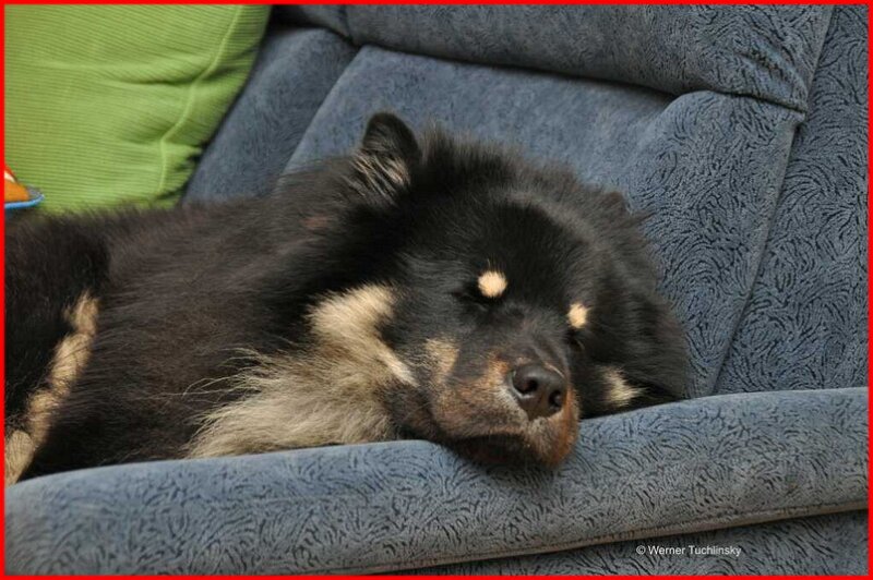 2 (23).jpg - Grishan