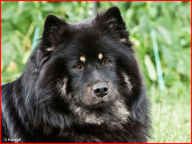 2 (24).jpg - Franziska