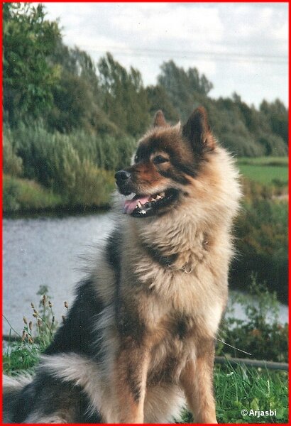 2 (39).jpg - Daschka