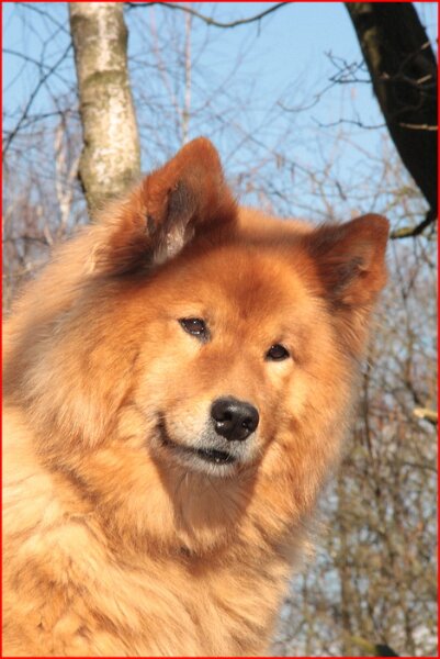 2 (4).jpg - Kris-Djana