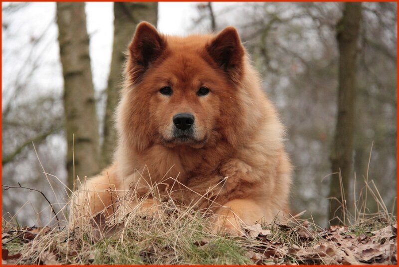 2 (53).jpg - Kris-Djana