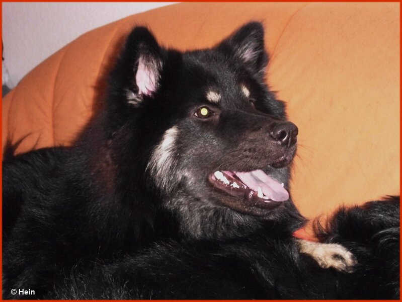 2 (63).jpg - Hannah Kyra