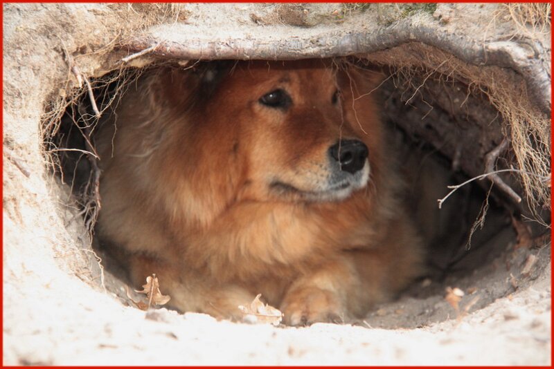 2 (70).jpg - Kris-Djana