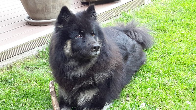 26 (1).jpg - user comment