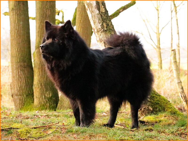 b (29).JPG - Fe Jaruscha