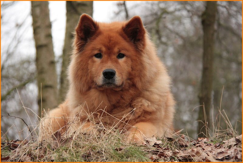 b (48).JPG - Kris-Djana