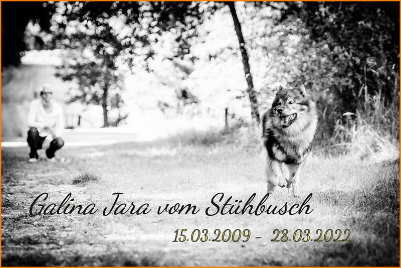 b (55).jpg - Galina Jara