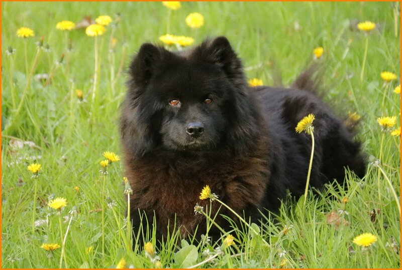 b (57).JPG - Iva Malaika