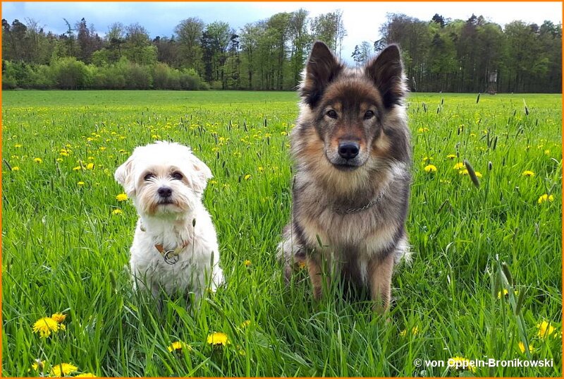 b (6).jpg - Galina Jara und Coffee