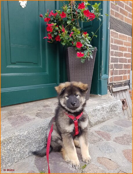 b (64).jpg - Lilibet