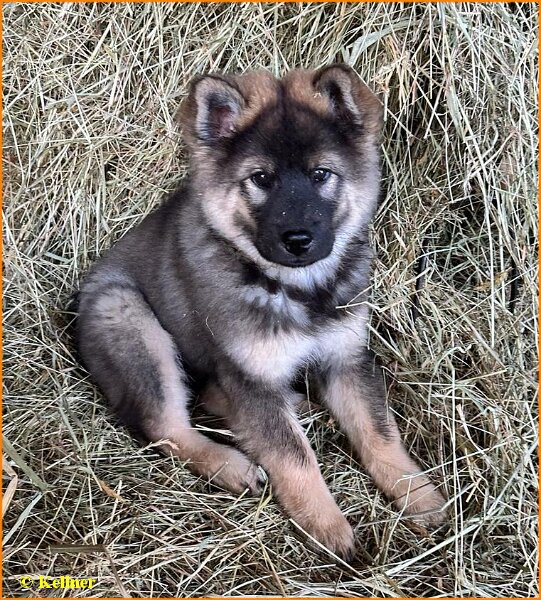 b (65).jpg - Lilibet