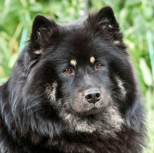 b (74).jpg - Franziska