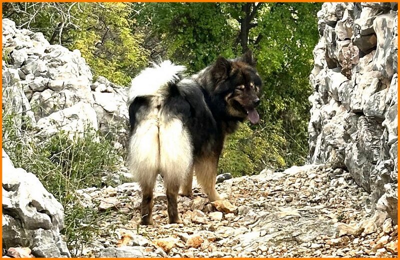 b (83).jpg - Lilibet